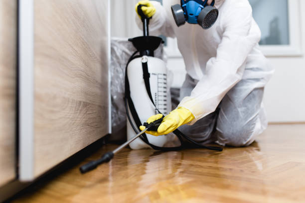 Best Best Pest Control Companies  in Rockdale, TX