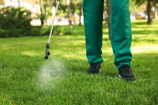 Best Mosquito Control Services  in Rockdale, TX