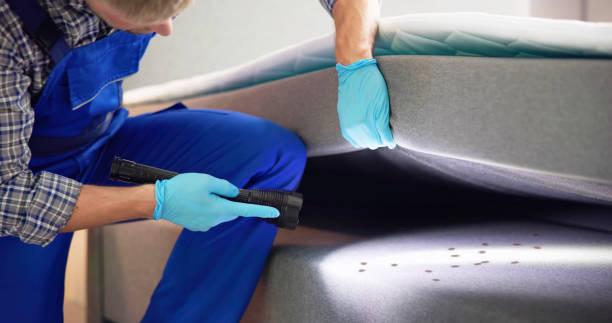 Best Best Pest Control Companies  in Rockdale, TX