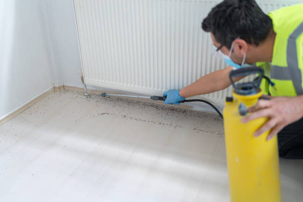 Best Pest Removal Services  in Rockdale, TX